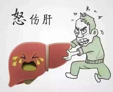 烦躁易怒控制不住情绪中医怎么讲,急躁易怒的情绪怎么调理