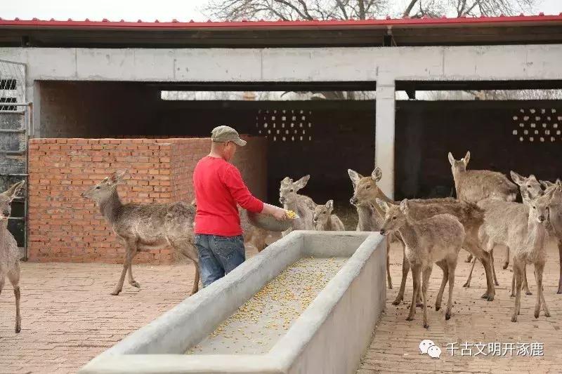 涿鹿发展,涿鹿县的发展