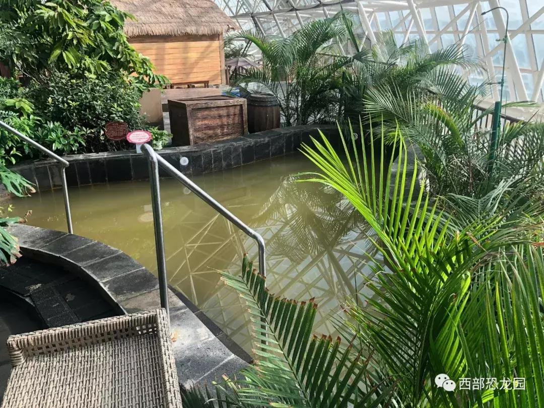 恐龙园温泉馆,西部恐龙水乐园温泉