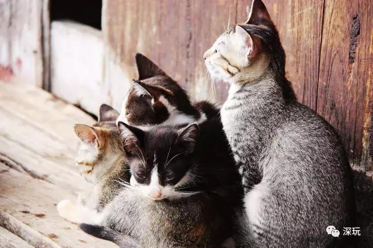 缅甸的贫穷图片,缅甸贫穷人真实生活