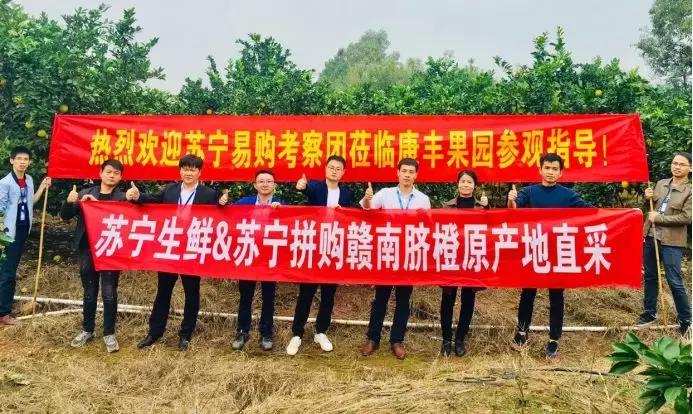 阿里巴巴双十一全球狂欢节,阿里巴巴双十一购物盛会