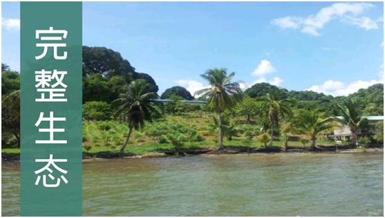 燕窝没有你想象中那样高不可攀,燕窝从古至今都备受欢迎的原因