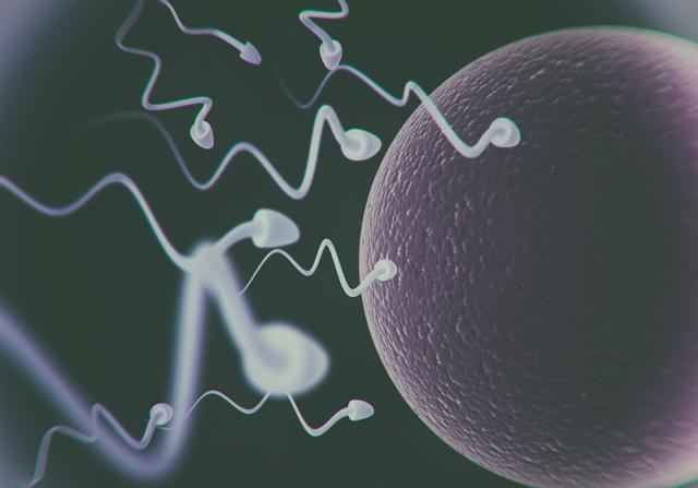 女人“安全期”的说法是真的吗?一个月中,这个时间或许较安全