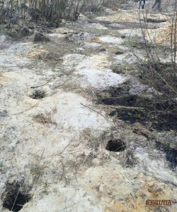 辨别琥珀真假的经验分享,市面上的琥珀都是真的吗