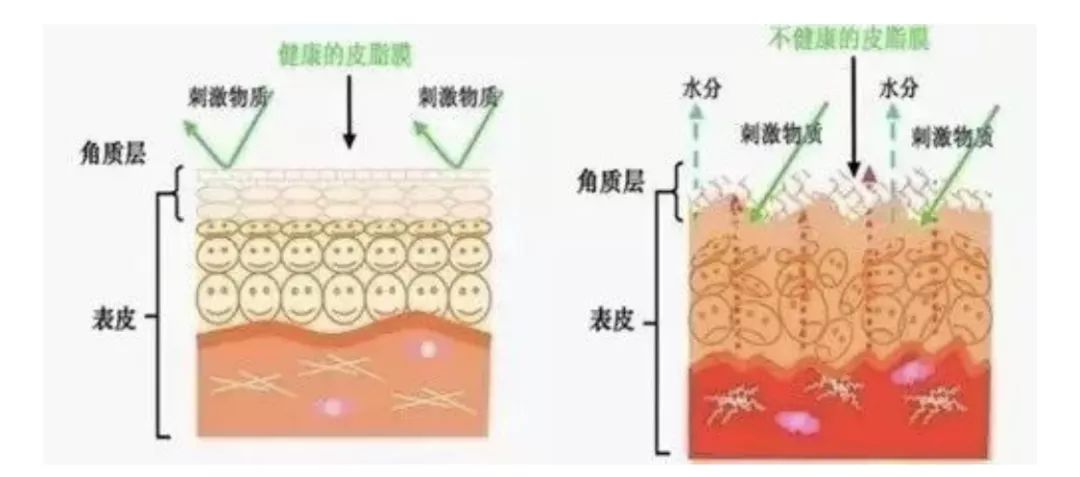 有了这瓶“液体黄金“,今年秋冬注定与干燥、长痘无缘了!