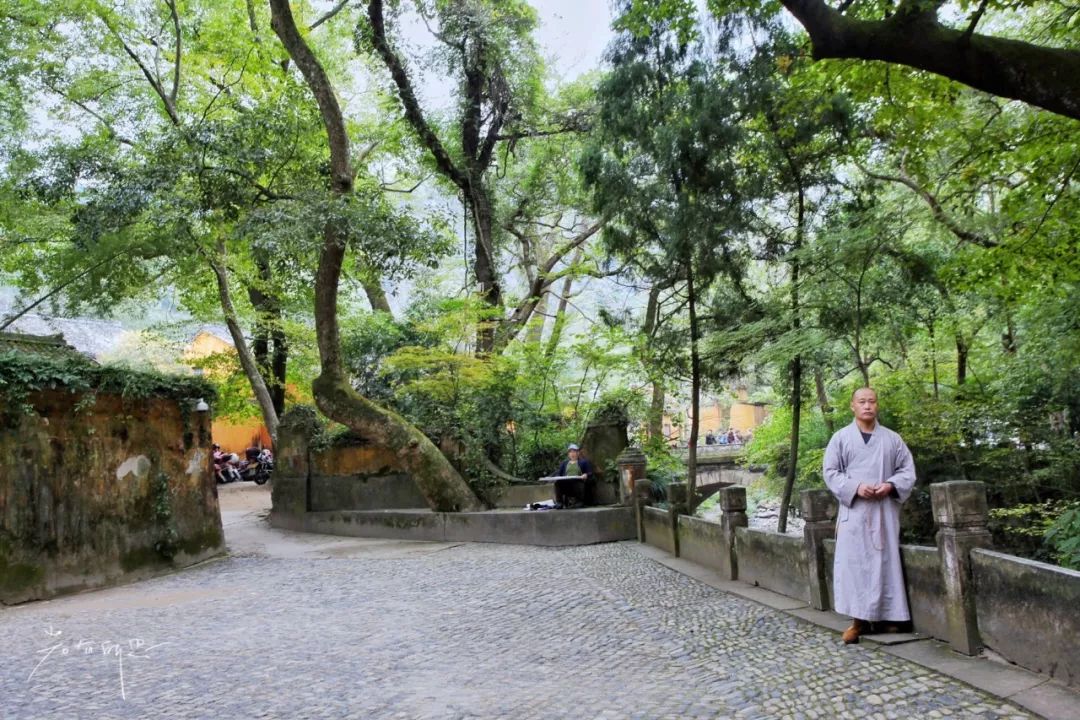 没有人来人往的城市,没有人山人海的地方