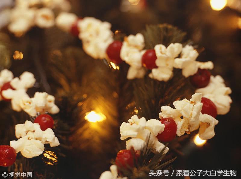 滚床单能让阴部更快乐吗？当然可以，那会让你更健康！多喝水吧