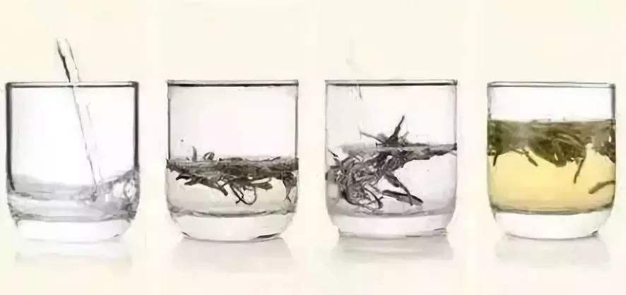 茶艺师泡普洱茶教学视频,高级茶艺师教每一款茶泡法