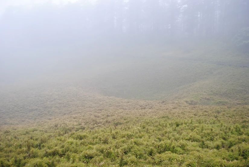 百慕大黑竹沟未解之谜,指南针失效