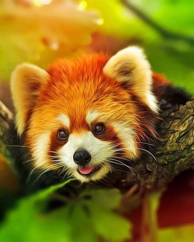 百慕大黑竹沟未解之谜,黑竹沟百慕大三角探险