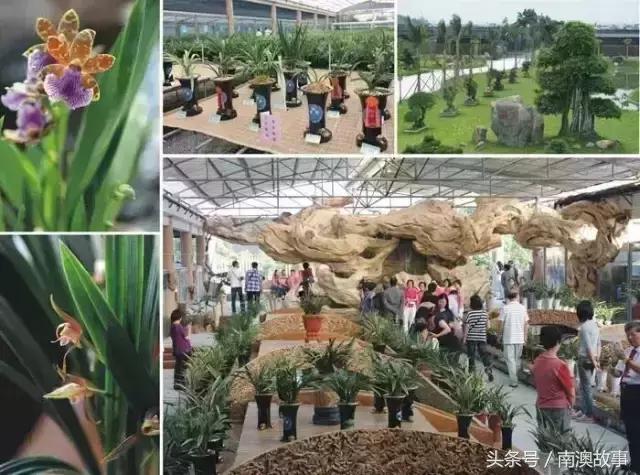 汕头没有什么好玩的地方,汕头有哪些旅游景点