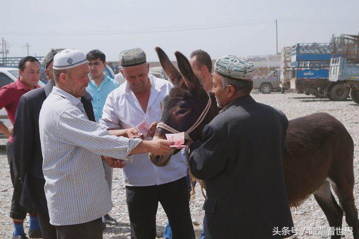 令人大开眼界的车,喀什牛羊大巴扎有意思吗