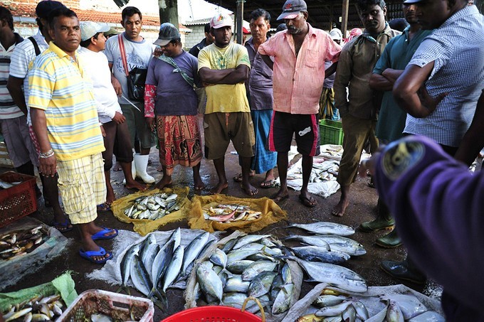 人文摄影斯里兰卡,锡兰风景