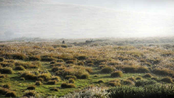 人文摄影斯里兰卡,锡兰风景