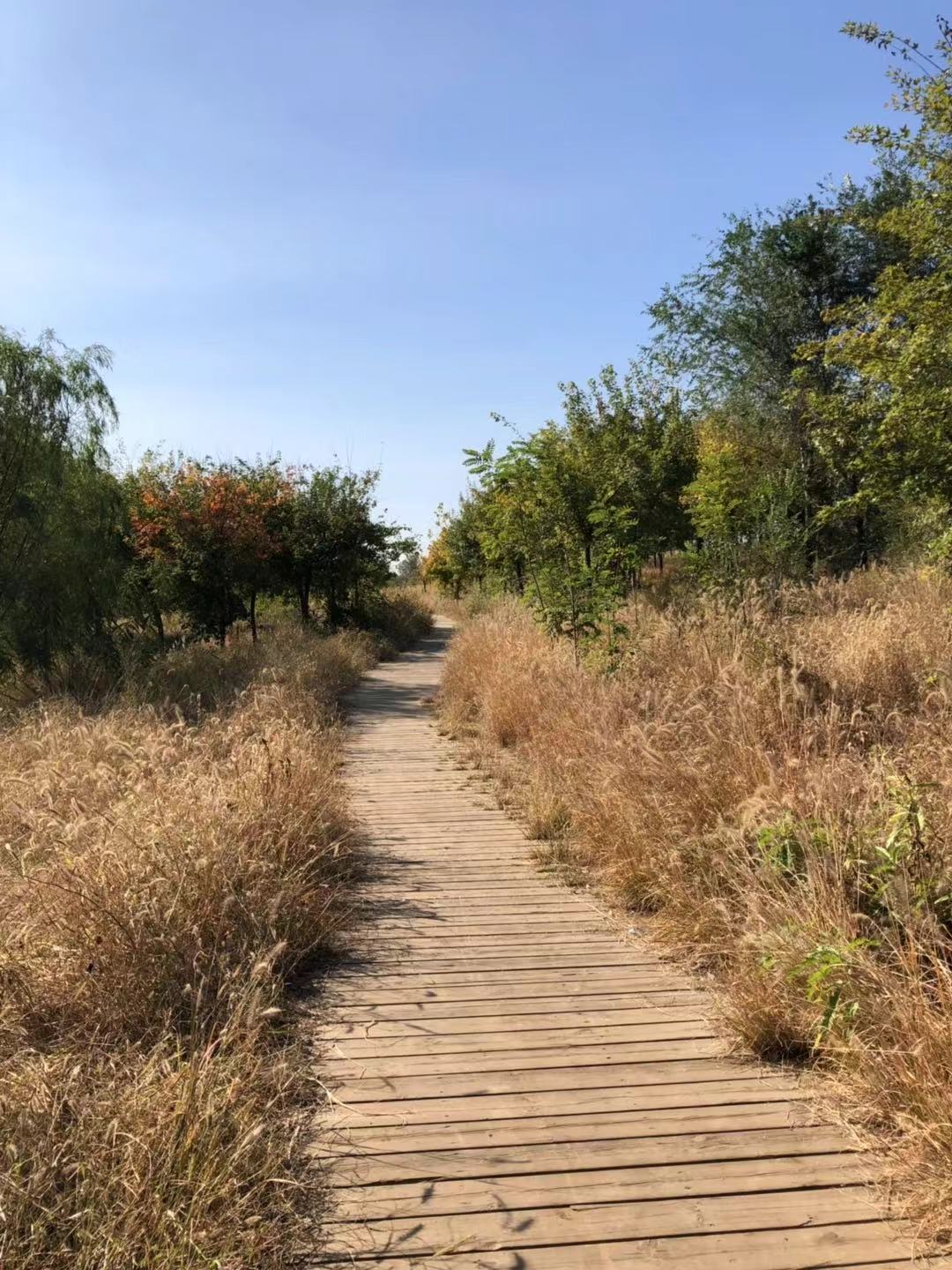 滦县古城一日游,滦州古城必吃烧饼