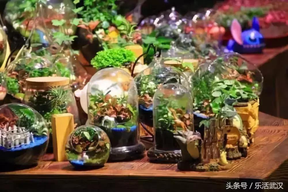 赛车场卡丁车武汉,赛车卡丁车武汉