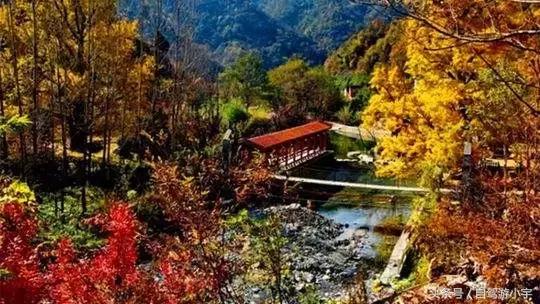 河南省赏红叶一日游,河南省秋天红叶最佳去处