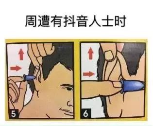 上海地铁养成记 (上海地铁最新实用指南)