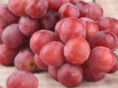 红提与葡萄的功效与作用,红提葡萄吃多了会怎么样