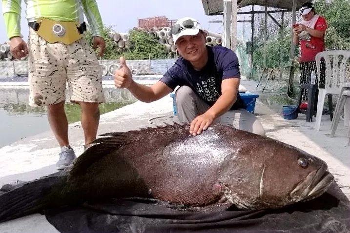 “四大美女”征战马来西亚旗鱼日记