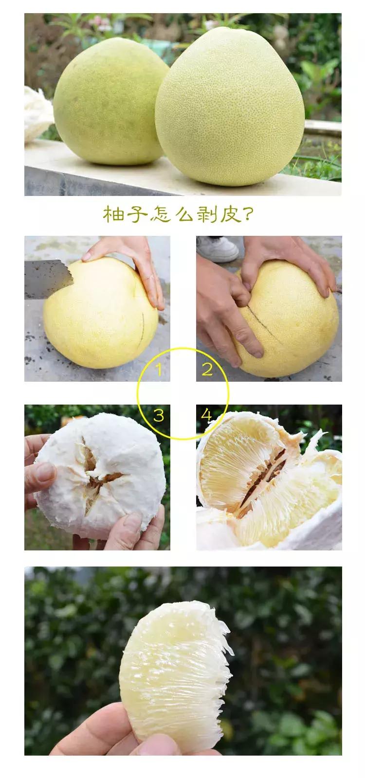 宣恩县县长宣传贡水白柚,恩施宣恩贡水白柚