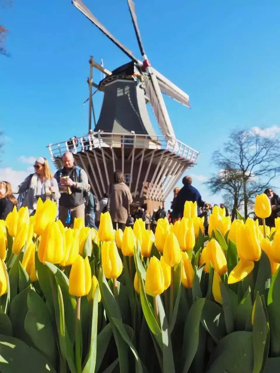 各国机场免税店必买,成田机场免税店购物必买清单