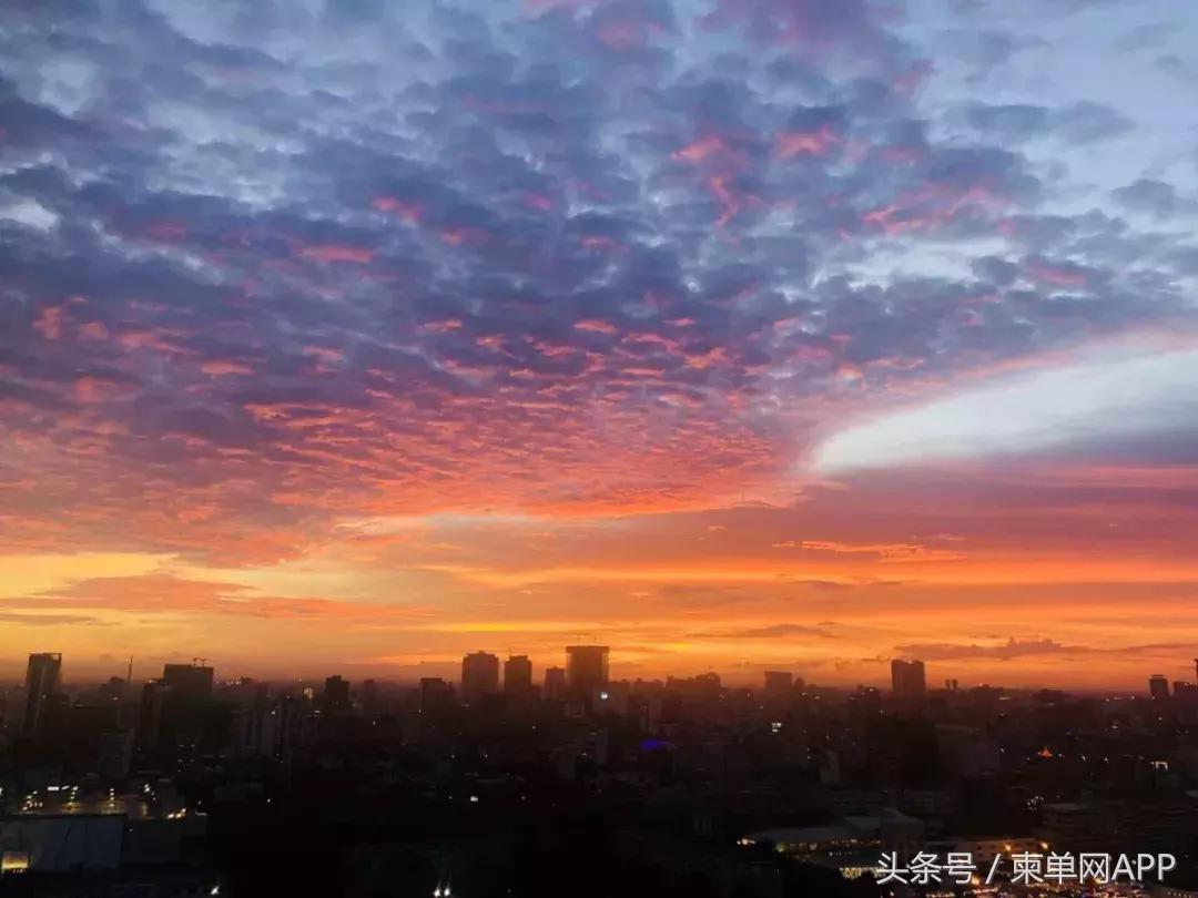 金边这个城市乱不乱,金边城市风光