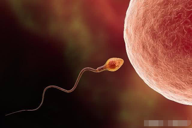 安全期正常怀孕的几率有多大,安全期前七后八可以怀孕吗