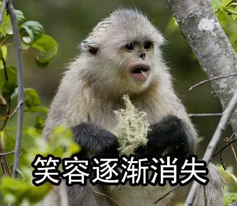 物理学家玻尔,玻尔物理学家发现了什么