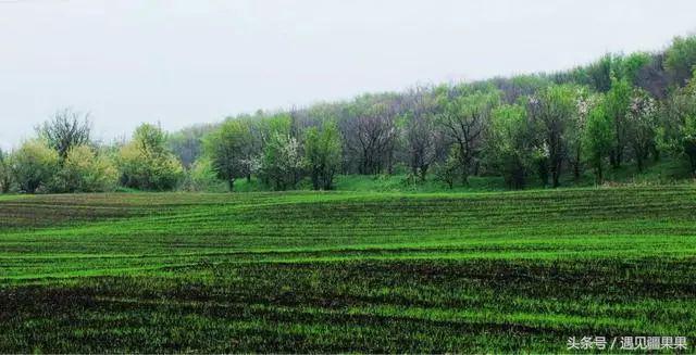 伊犁最美旅游风景区,伊犁旅游攻略探索最美风光