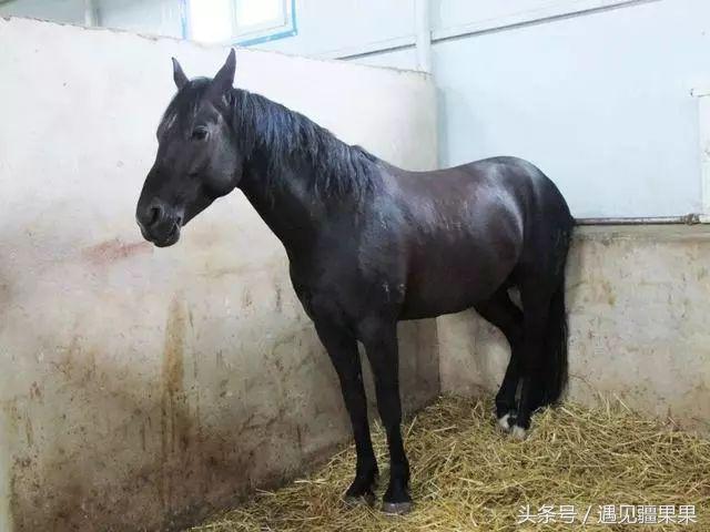 伊犁最美旅游风景区,伊犁旅游攻略探索最美风光