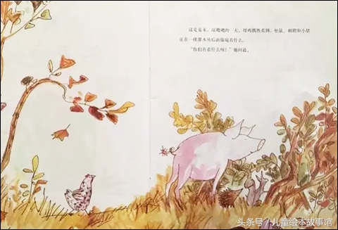 绘本故事森林大熊,绘本真正的好朋友大熊的故事