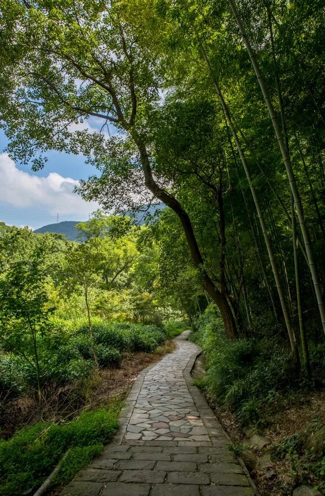 北仑适合夏天爬的山,北仑冬季爬山的地方有哪些