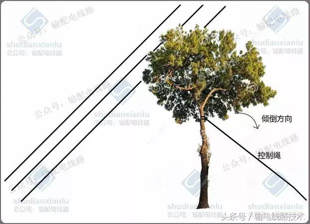 线路树障清理施工方案,电力线路树障清理属于什么行业