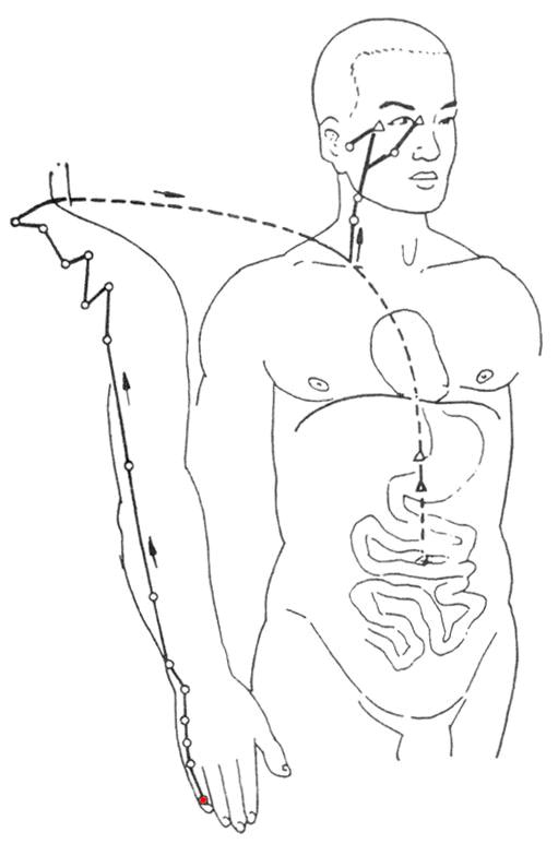 女性经络不通畅症状,男女经络不通有什么症状