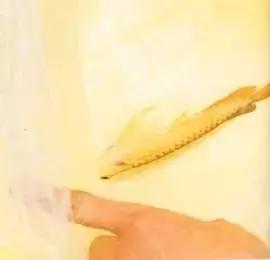 榫欓奔鑳￠』鎹熶激鎬庝箞澶勭悊,榫欓奔鎬庝箞闃叉鑳￠』鎹熶激