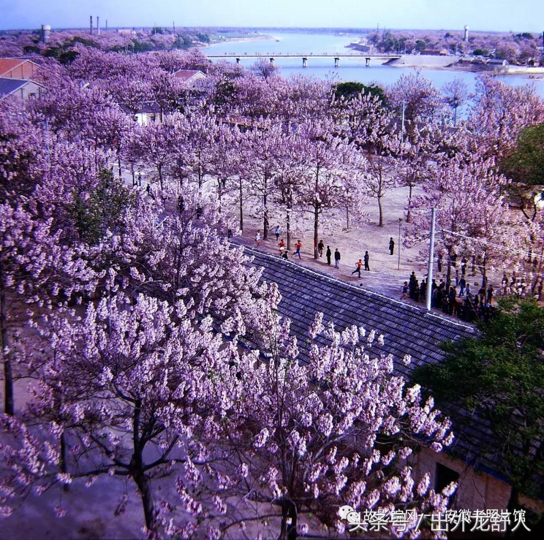 光“徽”岁月——影像见证安徽40年（一）