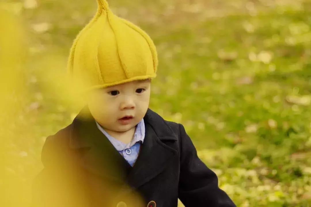 伊利君乐宝飞鹤三元,飞鹤与君乐宝纯牛奶