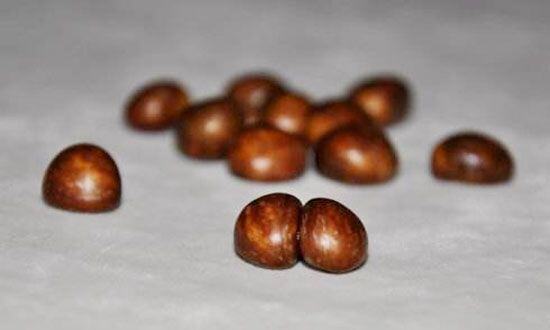 生枇杷核煲汤,中药材枇杷