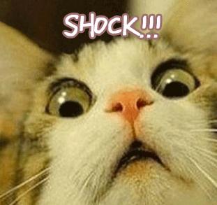 2023年余杭房价,余杭最新房价二手房