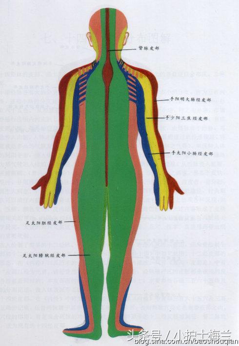 任督二脉功法图,真气打通任督二脉图解