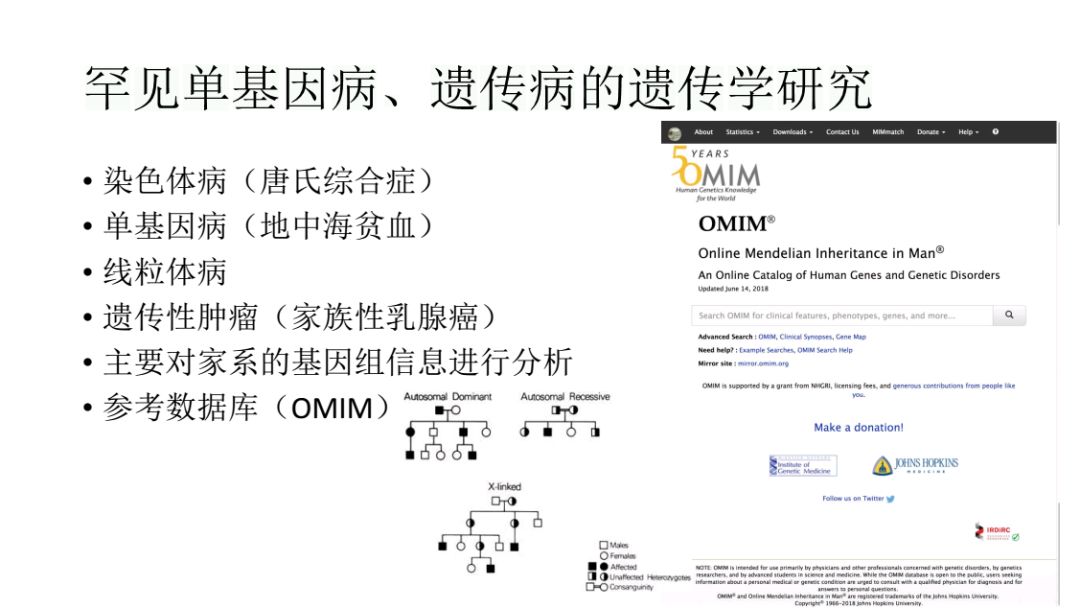 基因科普讲座,生命科学之基因技术