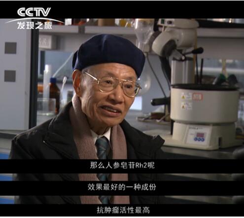 上过央视、得过奖，人参皂苷是不是抗癌良药？