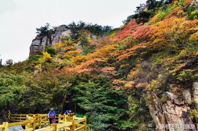 老外游崂山,坐青岛11号线去崂山