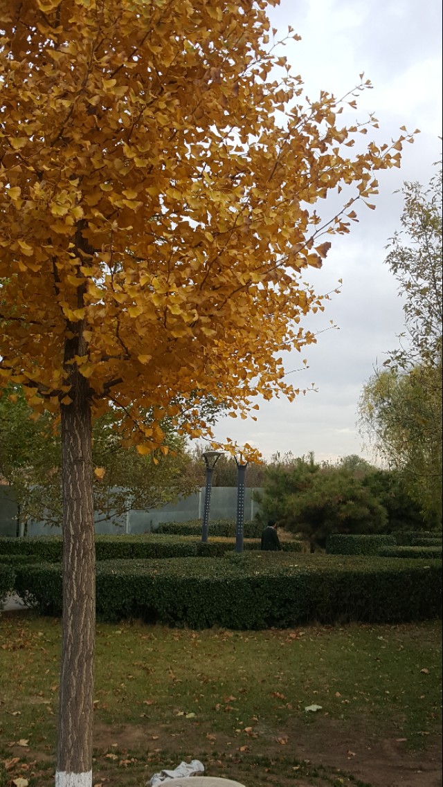 华为mate20pro现在还能买吗,华为mate20pro还可以入手吗