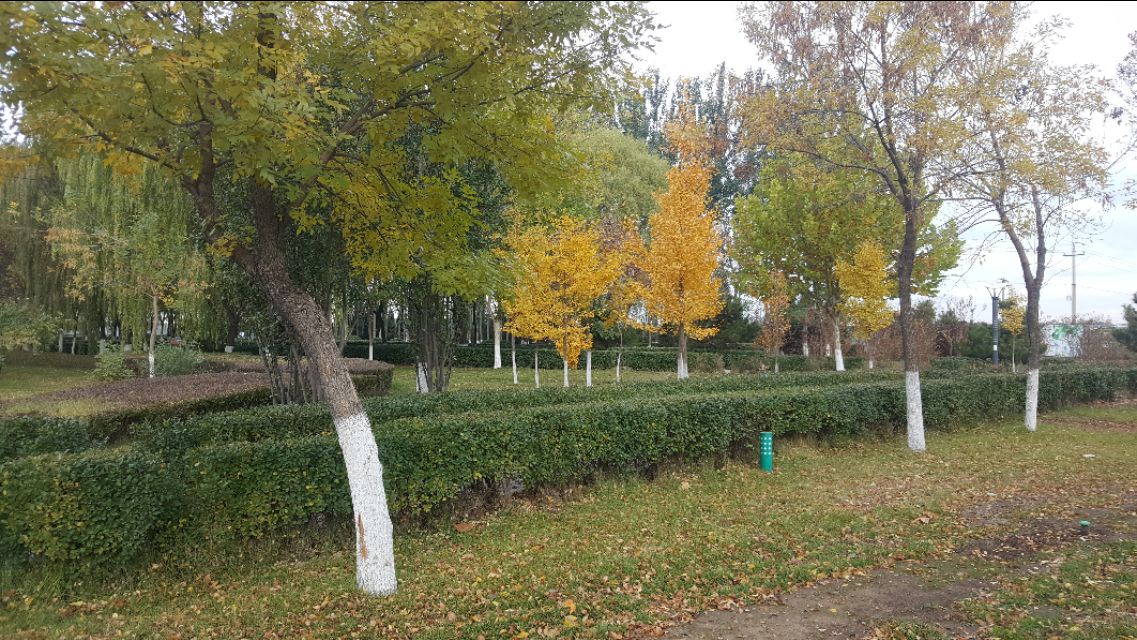 华为mate20pro现在还能买吗,华为mate20pro还可以入手吗