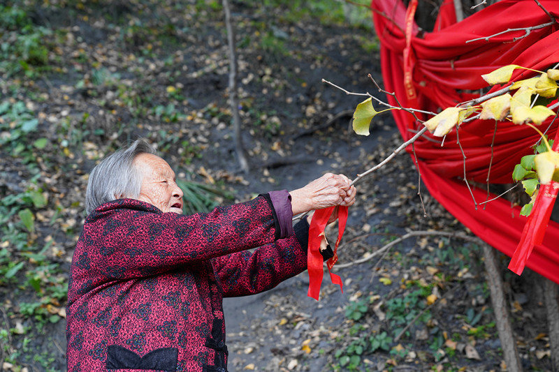 到安康白河县东坡村赶集 游客抢购山货 赏千年银杏 品乡村美食
