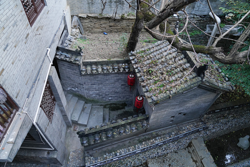 到安康白河县东坡村赶集 游客抢购山货 赏千年银杏 品乡村美食