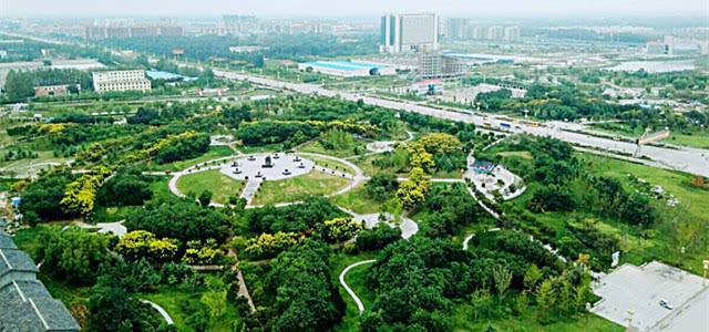 阿呆图片动图,阿呆高清图片图文