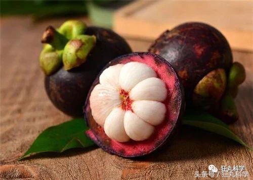 西兰花里好多小虫子,西兰花里有虫子视频